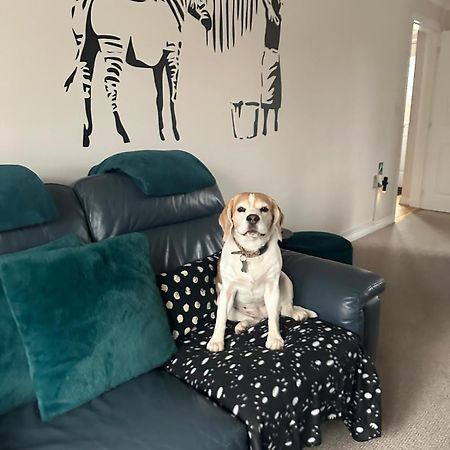 Hereford - Finch House - Modern 4 Bedroom House Located In South Hereford, Dog Friendly With Nearby Countryside, Pool Table, Sleeps Up To 10 Guests - Hosted By Rentmyhouse Extérieur photo