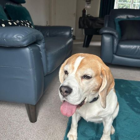 Hereford - Finch House - Modern 4 Bedroom House Located In South Hereford, Dog Friendly With Nearby Countryside, Pool Table, Sleeps Up To 10 Guests - Hosted By Rentmyhouse Extérieur photo