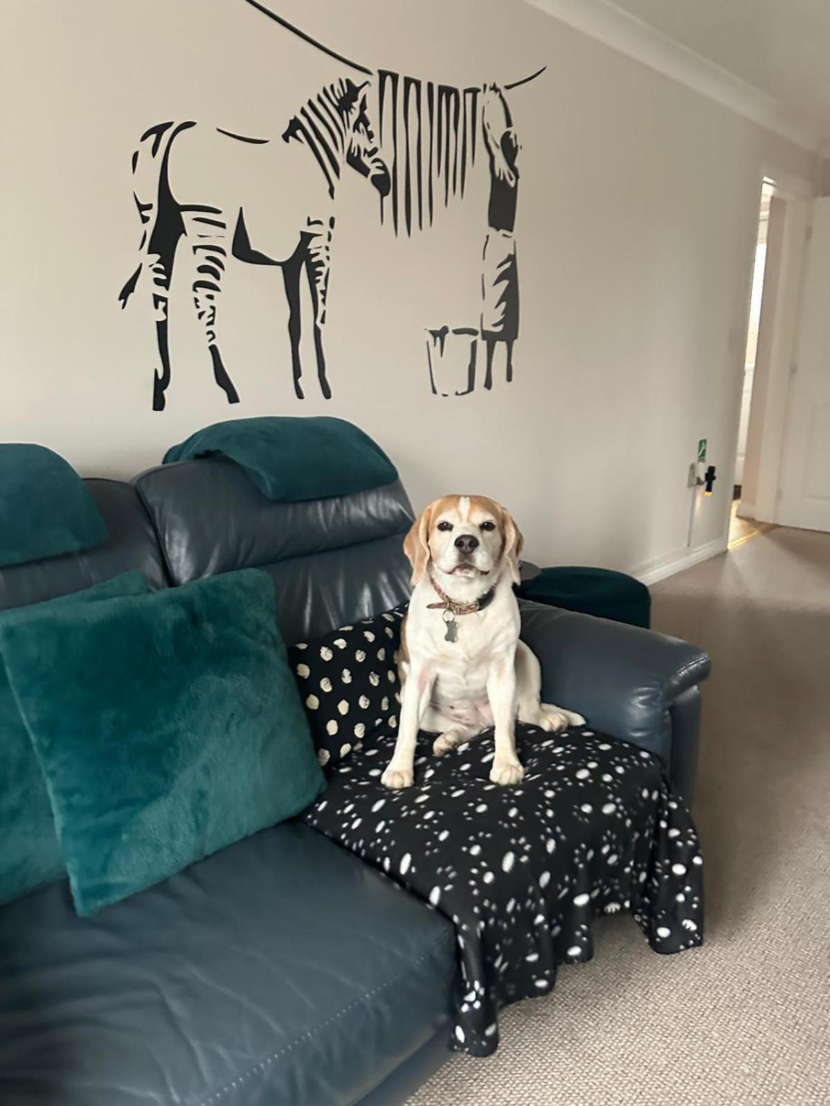 Hereford - Finch House - Modern 4 Bedroom House Located In South Hereford, Dog Friendly With Nearby Countryside, Pool Table, Sleeps Up To 10 Guests - Hosted By Rentmyhouse Extérieur photo