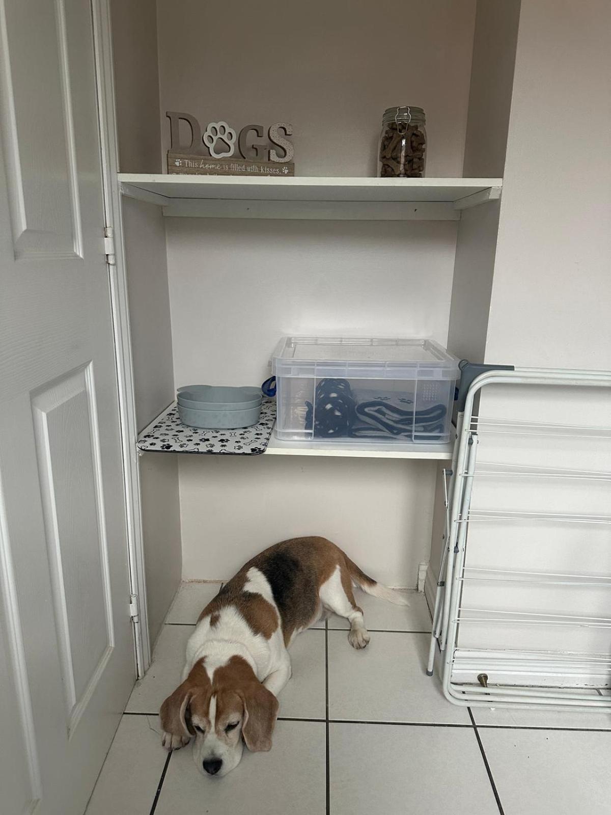 Hereford - Finch House - Modern 4 Bedroom House Located In South Hereford, Dog Friendly With Nearby Countryside, Pool Table, Sleeps Up To 10 Guests - Hosted By Rentmyhouse Extérieur photo